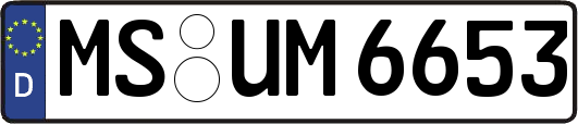 MS-UM6653