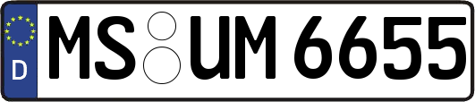 MS-UM6655