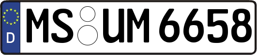 MS-UM6658