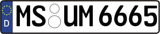 MS-UM6665
