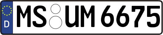 MS-UM6675