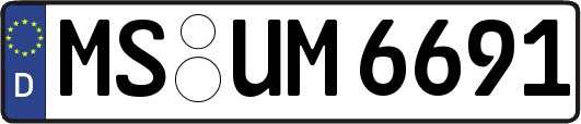 MS-UM6691