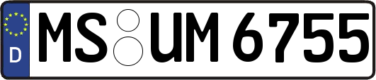 MS-UM6755