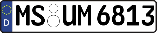 MS-UM6813
