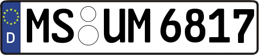MS-UM6817