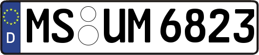 MS-UM6823