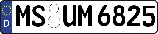MS-UM6825