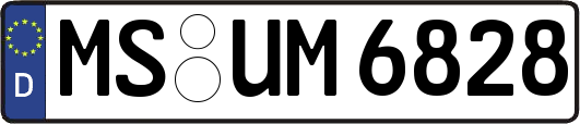MS-UM6828