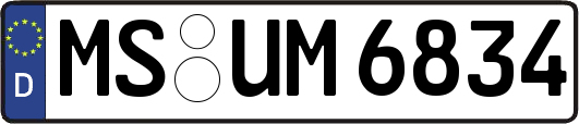 MS-UM6834