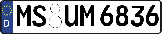 MS-UM6836