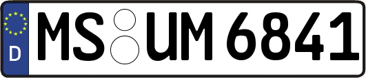 MS-UM6841