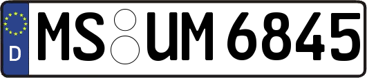 MS-UM6845