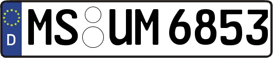 MS-UM6853