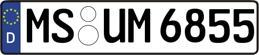 MS-UM6855