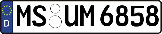 MS-UM6858