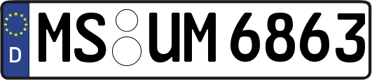 MS-UM6863