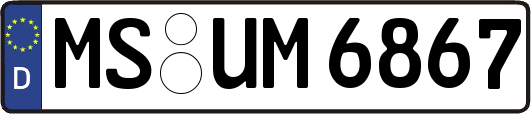 MS-UM6867