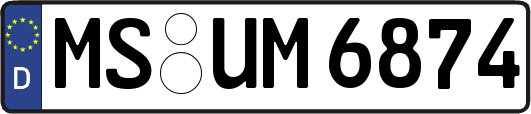 MS-UM6874