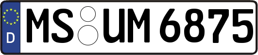 MS-UM6875