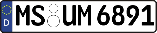 MS-UM6891