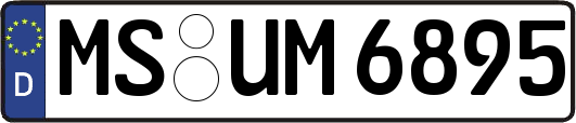 MS-UM6895