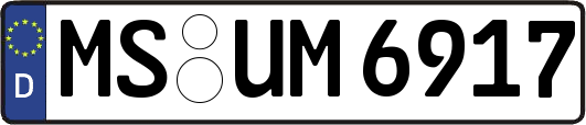 MS-UM6917