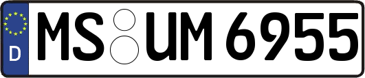 MS-UM6955
