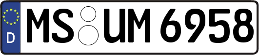 MS-UM6958