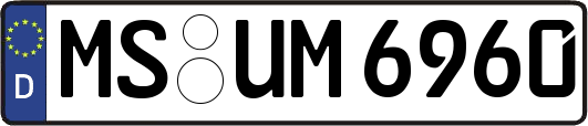 MS-UM6960