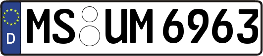 MS-UM6963