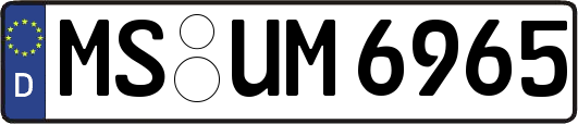 MS-UM6965