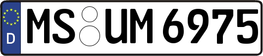 MS-UM6975