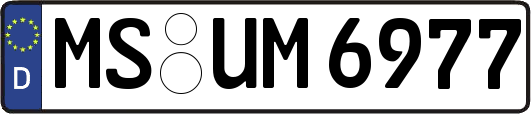 MS-UM6977
