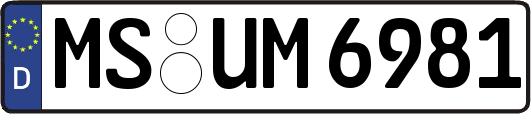 MS-UM6981