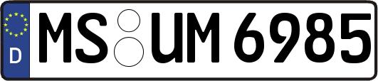 MS-UM6985