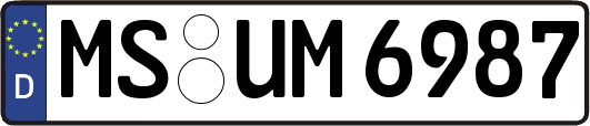 MS-UM6987