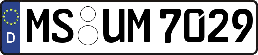 MS-UM7029