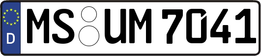 MS-UM7041
