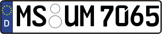 MS-UM7065