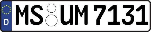 MS-UM7131