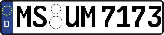 MS-UM7173