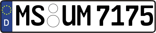 MS-UM7175