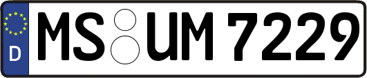 MS-UM7229