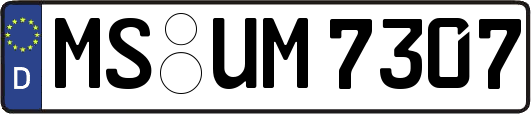 MS-UM7307