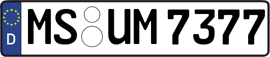 MS-UM7377