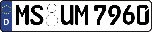 MS-UM7960