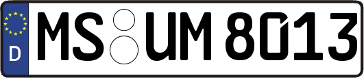 MS-UM8013