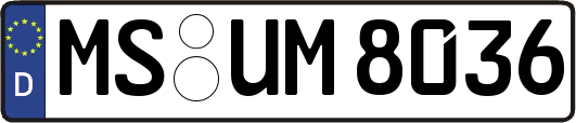 MS-UM8036