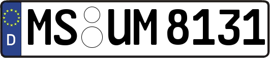 MS-UM8131