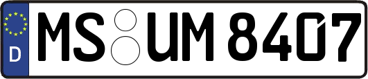 MS-UM8407